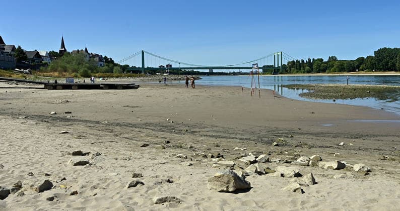Die anhaltende Hitzewelle führt weiter zu starkem Niedrigwasser im Rhein und lässt die Pegelstände weiter sinken.Binnenfrachtschiffe können wegen des geringen Wasserstands nicht mehr voll beladen werden.Im Kölner Stadtteil Rodenkirchen liegt ein Steg vom Kölner Ruderverein schon auf dem Trockenen,Ruderboote können nicht zu Wasser gelassen werden,fotografiert am 01.August 2026. Die Fotos sind authentisch und nicht mit KI-bearbeitet!!!! Â *** The ongoing heat wave continues to cause severely low water levels in the Rhine, causing water levels to drop further. Inland cargo ships can no longer be fully loaded due to the low water levels. In the Rodenkirchen district of Cologne, a dock belonging to the Cologne Rowing Club is already sitti