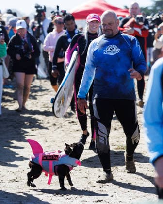 August 1, 2026, Pacifica, California, USA: Iza the surfing French Bulldog rushes down to the shore during the 10th annual World Dog Surfing Championships at Linda Mar Beach in Pacifica, Calif. on Saturday, Aug. 1, 2026. Pacifica USA  - ZUMAt176 20260801_zsp_t176_018 Copyright: xJacksonxTammariellox