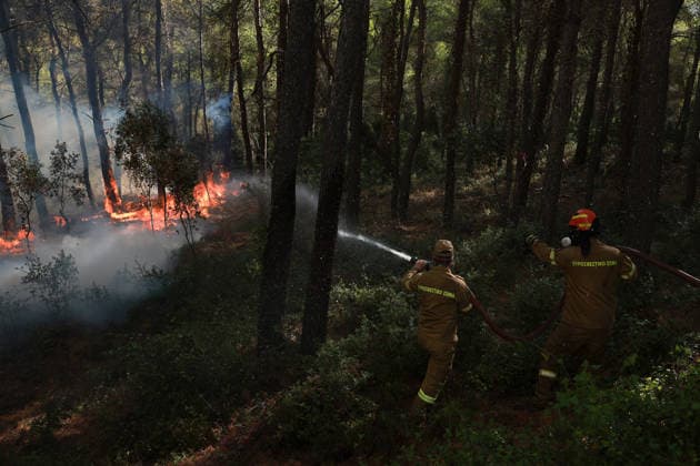 Firefighters battle wildfire in Viotia with air and ground operations VIOTIA, GREECE - AUGUST 2: Firefighters battle a wildfire burning near Porto Germeno, 70 kilometres northwest of Athens in the region of Viotia, Greece, on August 2, 2026 Costas Baltas Anadolu Viotia Greece. Editorial use only. Please get in touch for any other usage.  Copyright: x2026xAnadoluxCostasxBaltasx