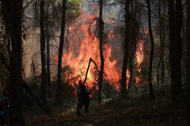 Firefighters battle wildfire in Viotia with air and ground operations VIOTIA, GREECE - AUGUST 2: Firefighters battle a wildfire burning near Porto Germeno, 70 kilometres northwest of Athens in the region of Viotia, Greece, on August 2, 2026 Costas Baltas Anadolu Viotia Greece. Editorial use only. Please get in touch for any other usage.  Copyright: x2026xAnadoluxCostasxBaltasx
