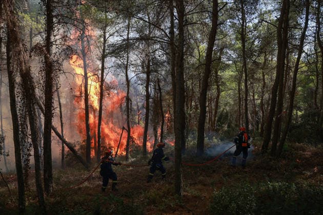 Firefighters battle wildfire in Viotia with air and ground operations VIOTIA, GREECE - AUGUST 2: Firefighters battle a wildfire burning near Porto Germeno, 70 kilometres northwest of Athens in the region of Viotia, Greece, on August 2, 2026 Costas Baltas Anadolu Viotia Greece. Editorial use only. Please get in touch for any other usage.  Copyright: x2026xAnadoluxCostasxBaltasx