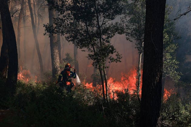 News Bilder des Tages Firefighters battle wildfire in Viotia with air and ground operations VIOTIA, GREECE - AUGUST 2: Firefighters battle a wildfire burning near Porto Germeno, 70 kilometres northwest of Athens in the region of Viotia, Greece, on August 2, 2026 Costas Baltas Anadolu Viotia Greece. Editorial use only. Please get in touch for any other usage.  Copyright: x2026xAnadoluxCostasxBaltasx