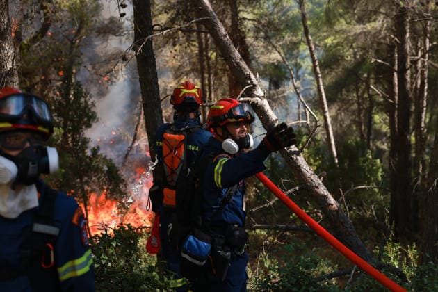 Firefighters battle wildfire in Viotia with air and ground operations VIOTIA, GREECE - AUGUST 2: Firefighters battle a wildfire burning near Porto Germeno, 70 kilometres northwest of Athens in the region of Viotia, Greece, on August 2, 2026 Costas Baltas Anadolu Viotia Greece. Editorial use only. Please get in touch for any other usage.  Copyright: x2026xAnadoluxCostasxBaltasx