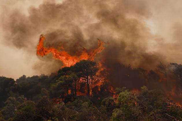 Firefighters battle wildfire in Viotia with air and ground operations VIOTIA, GREECE - AUGUST 2: A view of wildfire as volunteers battle a wildfire burning near Porto Germeno, 70 kilometres northwest of Athens in the region of Viotia, Greece, on August 2, 2026 Costas Baltas Anadolu Viotia Greece. Editorial use only. Please get in touch for any other usage.  Copyright: x2026xAnadoluxCostasxBaltasx