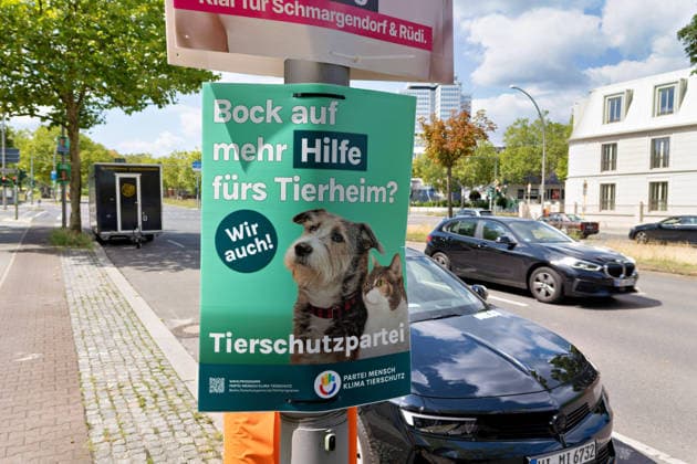 Berlin,02.08.2026,Wahlplakat der Partei Tierschutzpartei zur Wahl zum 20.Abgeordnetenhaus von Berlin am 20.09.2026. *** Berlin, August 2, 2026; Election poster for the Animal Welfare Party for the election to the 20th Berlin House of Representatives on September 20, 2026