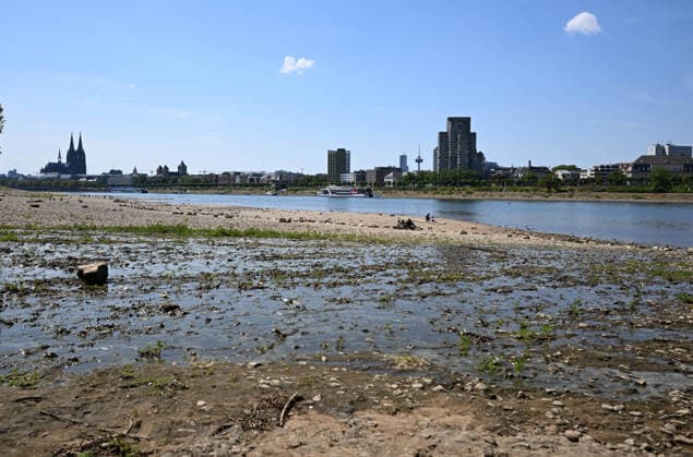 02.08.2026, xophax, öffentliches Leben, Köln, Rheinufer, Kölner Dom. Niedrigwasser. Rhein von Köln Mühlheim Rheinpark. Rheinpegel in Köln erreicht Tiefstand. Köln *** August 2, 2026, xophax, public life, Cologne, banks of the Rhine, Cologne Cathedral; low water levels on the Rhine from Cologne to Mühlheim; Rheinpark; Rhine water level in Cologne reaches record low; Cologne