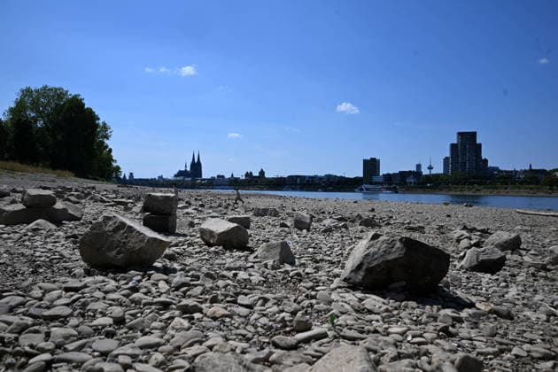 02.08.2026, xophax, öffentliches Leben, Köln, Rheinufer, Kölner Dom. Niedrigwasser. Rhein von Köln Mühlheim Rheinpark. Rheinpegel in Köln erreicht Tiefstand. Köln *** August 2, 2026, xophax, public life, Cologne, banks of the Rhine, Cologne Cathedral; low water levels on the Rhine from Cologne to Mühlheim; Rheinpark; Rhine water level in Cologne reaches record low; Cologne