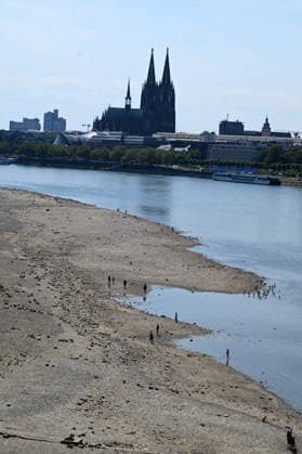 02.08.2026, xophax, öffentliches Leben, Köln, Rheinufer, Kölner Dom. Niedrigwasser. Rhein von Köln Mühlheim Rheinpark. Rheinpegel in Köln erreicht Tiefstand. Köln *** August 2, 2026, xophax, public life, Cologne, banks of the Rhine, Cologne Cathedral; low water levels on the Rhine from Cologne to Mühlheim; Rheinpark; Rhine water level in Cologne reaches record low; Cologne
