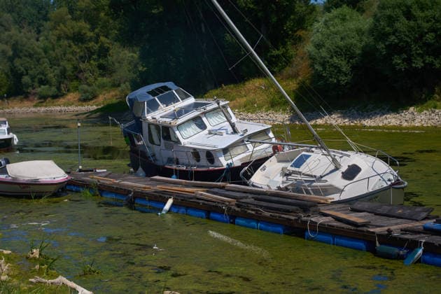 Im Sportboothafen von Nackenheim liegen Botte auf den Trockenen. Der Hafen liegt in einem toten Rheinarm, dessen Pegel aufgrund der Trockenheit kontinuierlich sinkt. Niedrgwasser am Rhein *** Boats are sitting on dry land at the Nackenheim marina. The marina is located in a dead arm of the Rhine, where the water level is steadily dropping due to the drought. Low water levels on the Rhine DSC05145.jpg