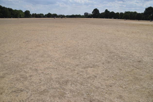August 2, 2026, London, England, United Kingdom: A view of a completely dry Hyde Park as a drought is declared in half of England, including the whole of London, following a series of record-breaking heatwaves. London United Kingdom - ZUMAv130 20260802_zip_v130_012 Copyright: xVukxValcicx