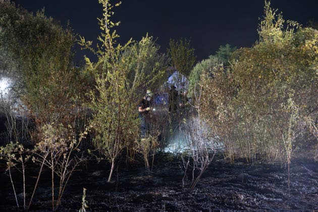 Großer Flächenbrand bedroht Wohngebiet Am 03.08.2026 gegen 02:00 Uhr brannten zwischen Seeheim-Jugenheim und Alsbach im Landkreis Darmstadt-Dieburg rund 28.000 Quadratmeter Feld und Gestrüpp entlang der L3100. Die Feuerwehr stoppte die Flammen etwa fünf Meter vor angrenzenden Wohnhäusern. Ein Anwohner erlitt beim eigenständigen Löschversuch eine Rauchgasvergiftung und wurde vom Rettungsdienst in ein Krankenhaus gebracht. Die Straßenbahnstrecke zwischen Alsbach und Seeheim-Jugenheim wurde gesperrt, ein Schienenersatzverkehr eingerichtet. Zur Brandbekämpfung kam eine Drohne mit Wärmebildkamera zum Aufspüren von Glutnestern zum Einsatz. Seeheim-Jugenheim Hessen Deutschland *** Large Wildfire Threatens Residential Area On August 3,