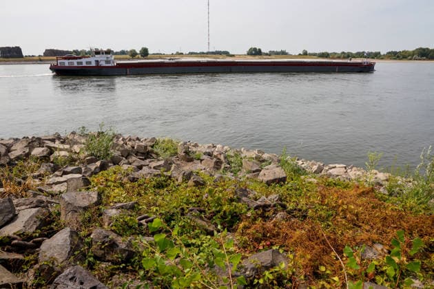 Niedriger Rheinpegel am Pegel Wesel Für den 03.08.2026 wurde durch die Wasserstraßen- und Schifffahrtsverwaltung des Bundes ein Pegelstand von 85 cm veröffentlicht. Für die Binnenschifffahrt stellt der niedrige Pegel ein Problem dar. Sinkt er zu weit ab, dürfen Schiffe nicht mehr voll beladen werden. Binnenschiff auf dem Rhein bei Wesel. Wesel, Nordrhein-Westfalen, DEU, Deutschland, 03.08.2026 *** Low water level on the Rhine at the Wesel gauge. The Federal Waterways and Shipping Administration published a water level of 85 cm for August 3, 2026. The low water level poses a problem for inland waterway shipping. If it drops too low, ships are no longer allowed to be fully loaded. Inland waterway vessel on the Rhine near Wesel. Wesel, No