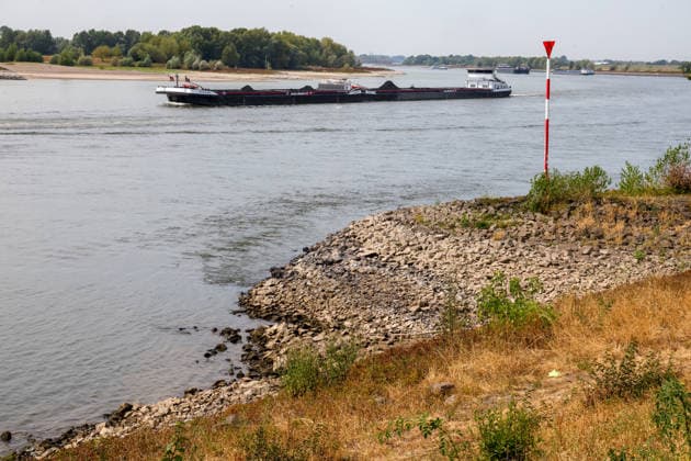 Niedriger Rheinpegel am Pegel Wesel Für den 03.08.2026 wurde durch die Wasserstraßen- und Schifffahrtsverwaltung des Bundes ein Pegelstand von 85 cm veröffentlicht. Für die Binnenschifffahrt stellt der niedrige Pegel ein Problem dar. Sinkt er zu weit ab, dürfen Schiffe nicht mehr voll beladen werden. Binnenschiff auf dem Rhein bei Wesel. Wesel, Nordrhein-Westfalen, DEU, Deutschland, 03.08.2026 *** Low water level on the Rhine at the Wesel gauge. The Federal Waterways and Shipping Administration published a water level of 85 cm for August 3, 2026. The low water level poses a problem for inland waterway shipping. If it drops too low, ships are no longer allowed to be fully loaded. Inland waterway vessel on the Rhine near Wesel. Wesel, No