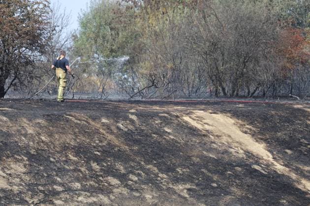 Firefighters pictured at the scene of a brush fire along the E25 highway in Bastogne, on Monday 03 August 2026. A major brush fire broke out Monday morning in the municipality of Bastogne, near the Withimont highway rest area.  JULIENxWARNAND 182682037