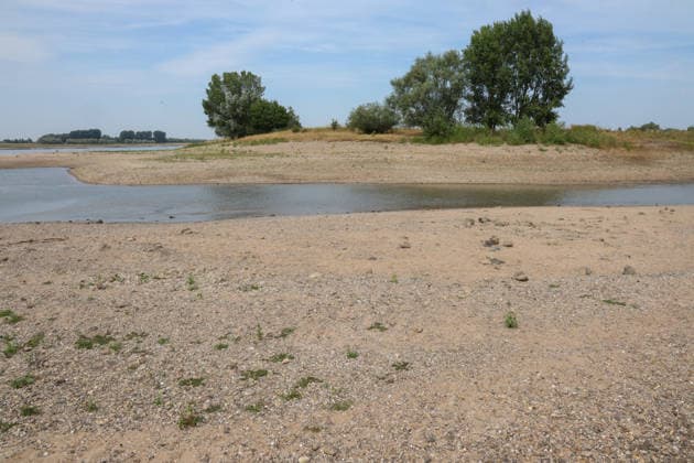 Niedriger Rheinpegel am Pegel Wesel Für den 03.08.2026 wurde durch die Wasserstraßen- und Schifffahrtsverwaltung des Bundes ein Pegelstand von 85 cm veröffentlicht. Für die Binnenschifffahrt stellt der niedrige Pegel ein Problem dar. Sinkt er zu weit ab, dürfen Schiffe nicht mehr voll beladen werden. Wesel, Nordrhein-Westfalen, DEU, Deutschland, 03.08.2026 *** Low Rhine water level at the Wesel gauge. The Federal Waterways and Shipping Administration published a water level of 85 cm for August 3, 2026. The low water level poses a problem for inland waterway shipping. If it drops too low, vessels may no longer be fully loaded. Wesel, North Rhine-Westphalia, DEU, Germany, August 3, 2026