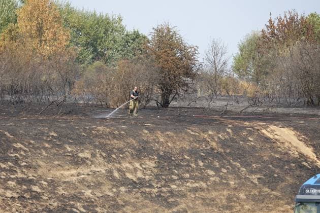 The scene of a brush fire along the E25 highway in Bastogne, on Monday 03 August 2026. A major brush fire broke out Monday morning in the municipality of Bastogne, near the Withimont highway rest area.  JULIENxWARNAND 182682042