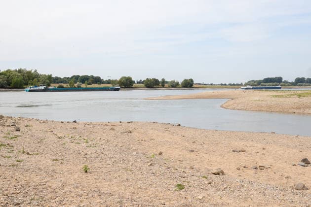 Niedriger Rheinpegel am Pegel Wesel Für den 03.08.2026 wurde durch die Wasserstraßen- und Schifffahrtsverwaltung des Bundes ein Pegelstand von 85 cm veröffentlicht. Für die Binnenschifffahrt stellt der niedrige Pegel ein Problem dar. Sinkt er zu weit ab, dürfen Schiffe nicht mehr voll beladen werden. Binnenschiff auf dem Rhein bei Wesel. Wesel, Nordrhein-Westfalen, DEU, Deutschland, 03.08.2026 *** Low water level on the Rhine at the Wesel gauge. The Federal Waterways and Shipping Administration published a water level of 85 cm for August 3, 2026. The low water level poses a problem for inland waterway shipping. If it drops too low, ships are no longer allowed to be fully loaded. Inland waterway vessel on the Rhine near Wesel. Wesel, No