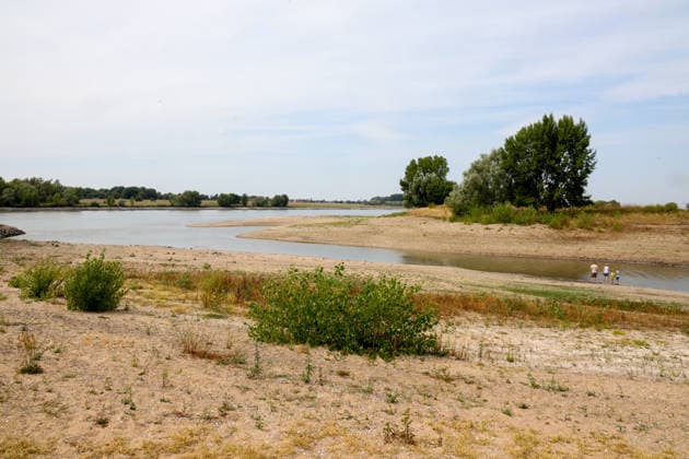 Niedriger Rheinpegel am Pegel Wesel Für den 03.08.2026 wurde durch die Wasserstraßen- und Schifffahrtsverwaltung des Bundes ein Pegelstand von 85 cm veröffentlicht. Für die Binnenschifffahrt stellt der niedrige Pegel ein Problem dar. Sinkt er zu weit ab, dürfen Schiffe nicht mehr voll beladen werden. Wesel, Nordrhein-Westfalen, DEU, Deutschland, 03.08.2026 *** Low Rhine Water Level at the Wesel Gauge: The Federal Waterways and Shipping Administration published a water level of 85 cm for August 3, 2026. The low water level poses a problem for inland waterway shipping. If it drops too low, vessels may no longer be fully loaded. Wesel, North Rhine-Westphalia, DEU, Germany, August 3, 2026