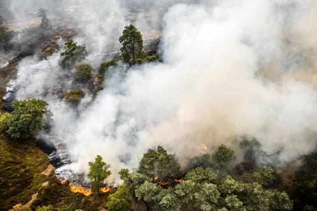 OOSTRUM - A very large fire is raging in the De Rosmolen nature reserve, according to the Limburg-Noord safety region. Due to dry conditions, the fire was able to spread rapidly. ROB ENGELAAR ANP netherlands out - belgium out  Copyright: xx x564813651x originalFilename: 564813651.jpg