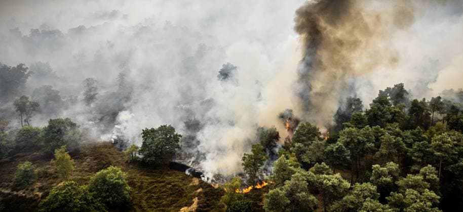 OOSTRUM - A very large fire is raging in the De Rosmolen nature reserve, according to the Limburg-Noord safety region. Due to dry conditions, the fire was able to spread rapidly. ROB ENGELAAR ANP netherlands out - belgium out  Copyright: xx x564813652x originalFilename: 564813652.jpg