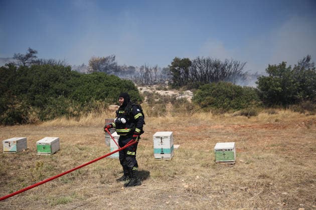 Wildfire in Greece s Megara region MEGARA, GREECE - AUGUST 3: Firefighters operate on the ground as a wildfire continues to burn for a third consecutive day in the Megara region, west of Athens, Greece on August 3, 2026. Emergency services are working to contain the blaze amid challenging weather conditions across the area. Aris Oikonomou Anadolu Megara Greece. Editorial use only. Please get in touch for any other usage.  Copyright: x2026xAnadoluxArisxOikonomoux