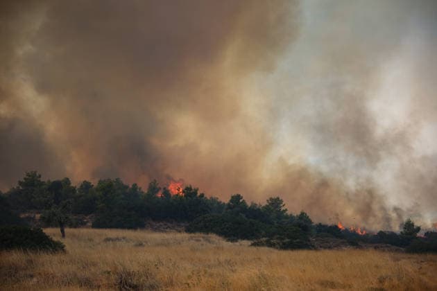 Wildfire in Greece s Megara region MEGARA, GREECE - AUGUST 3: Wildfire continues to burn for a third consecutive day in the Megara region, west of Athens, Greece on August 3, 2026. Emergency services are working to contain the blaze amid challenging weather conditions across the area. Aris Oikonomou Anadolu Megara Greece. Editorial use only. Please get in touch for any other usage.  Copyright: x2026xAnadoluxArisxOikonomoux