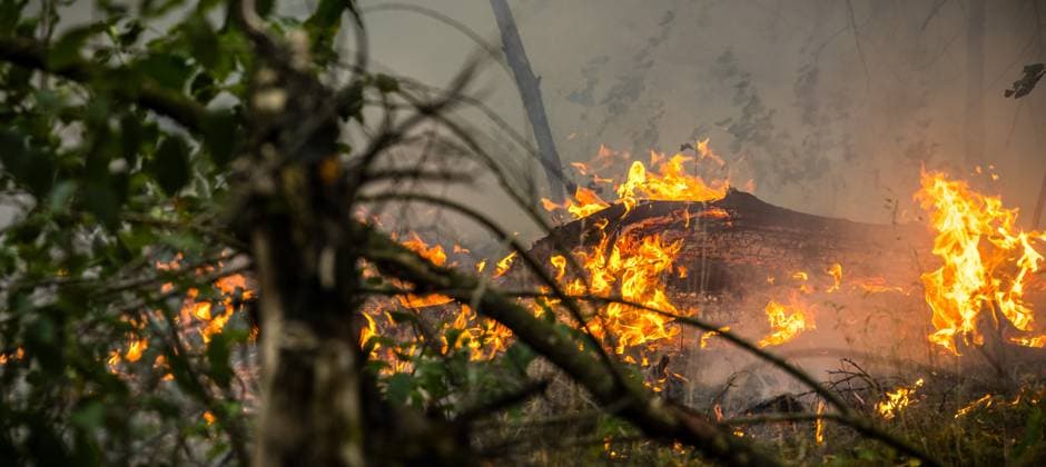 OOSTRUM - The fire department is battling a very large fire in the De Rosmolen nature reserve. Due to dry conditions, the fire was able to spread rapidly. ROB ENGELAAR ANP netherlands out - belgium out  Copyright: xx x564824045x originalFilename: 564824045.jpg