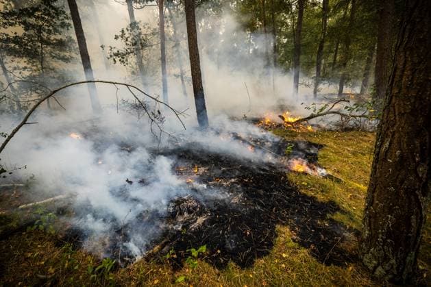 OOSTRUM - The fire department is battling a very large fire in the De Rosmolen nature reserve. Due to dry conditions, the fire was able to spread rapidly. ROB ENGELAAR ANP netherlands out - belgium out  Copyright: xx x564824078x originalFilename: 564824078.jpg
