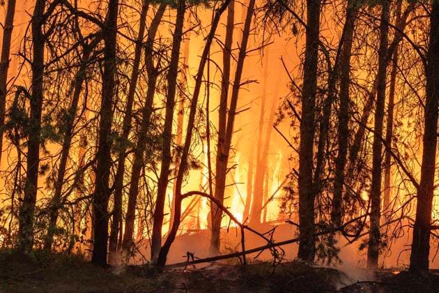 Großbrand Waldgebiet Oostrum NL ** NUR FÜR REDAKTIONELLE ZWECKE ** EDITORIAL USE ONLY **<p>Löschhubschrauber löschen am 3.8.2026 ein Feuer in einem Naturschutzgebiet in den Niederlanden. Foto : Arnulf Stoffel Funke Foto Services < p> Buntes Niederlande Gelderland Oostrum Copyright: ArnulfxStoffel *** Major Fire in Oostrum Forest Area, NL ** FOR EDITORIAL USE ONLY ** EDITORIAL USE ONLY ** p Firefighting helicopters extinguish a fire in a nature reserve in the Netherlands on August 3, 2026. Photo by Arnulf Stoffel, Funke Foto Services p Colorful Netherlands, Gelderland, Oostrum. Copyright ArnulfxStoffel Copyright: ArnulfxStoffel doc8704nq4t6g710lnf3lzn ,EDITORIAL USE ONLY