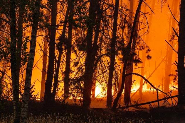 Großbrand Waldgebiet Oostrum NL ** NUR FÜR REDAKTIONELLE ZWECKE ** EDITORIAL USE ONLY **<p>Löschhubschrauber löschen am 3.8.2026 ein Feuer in einem Naturschutzgebiet in den Niederlanden. Foto : Arnulf Stoffel Funke Foto Services < p> Buntes Niederlande Gelderland Oostrum Copyright: ArnulfxStoffel *** Major Fire in Oostrum Forest Area, NL ** FOR EDITORIAL USE ONLY ** EDITORIAL USE ONLY ** p Firefighting helicopters extinguish a fire in a nature reserve in the Netherlands on August 3, 2026. Photo by Arnulf Stoffel, Funke Foto Services p Colorful Netherlands, Gelderland, Oostrum. Copyright ArnulfxStoffel Copyright: ArnulfxStoffel doc8704nsgi01u17o5kdjli ,EDITORIAL USE ONLY