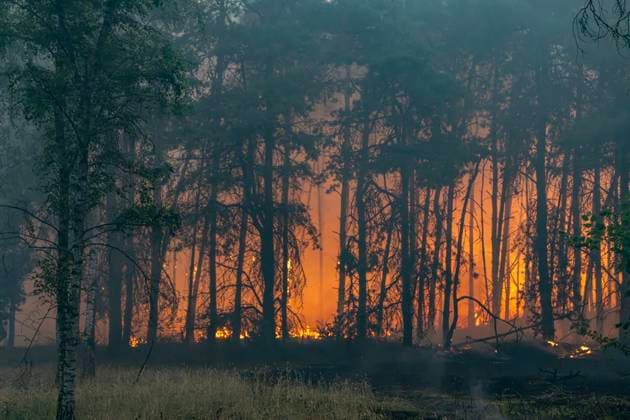 Großbrand Waldgebiet Oostrum NL ** NUR FÜR REDAKTIONELLE ZWECKE ** EDITORIAL USE ONLY **<p>Löschhubschrauber löschen am 3.8.2026 ein Feuer in einem Naturschutzgebiet in den Niederlanden. Foto : Arnulf Stoffel Funke Foto Services < p> Buntes Niederlande Gelderland Oostrum Copyright: ArnulfxStoffel *** Major Fire in Oostrum Forest Area, NL ** FOR EDITORIAL USE ONLY ** EDITORIAL USE ONLY ** p Firefighting helicopters extinguish a fire in a nature reserve in the Netherlands on August 3, 2026. Photo by Arnulf Stoffel, Funke Foto Services p Colorful Netherlands, Gelderland, Oostrum. Copyright ArnulfxStoffel Copyright: ArnulfxStoffel doc8704nclzwkpriqwnl04 ,EDITORIAL USE ONLY