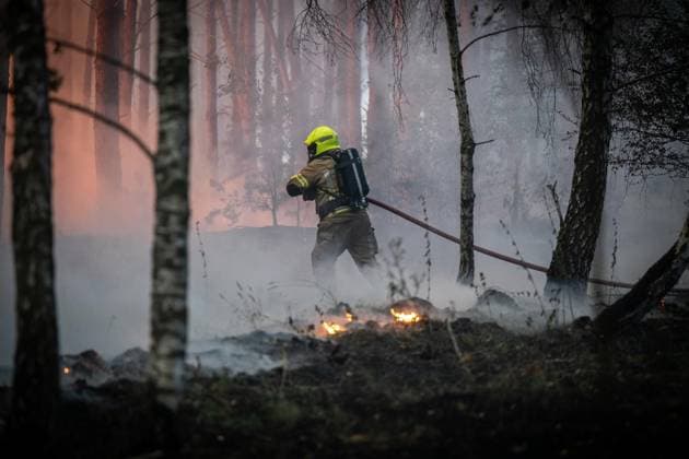 Waldbrand im Naturschutzgebiet Bos bei Venlo ** NUR FÜR REDAKTIONELLE ZWECKE ** EDITORIAL USE ONLY **<p>Niederländische Feuerwehren bekämpfen am Montag,03.August.2026, einen Waldbrand im Naturschutzgebiet Bos bei Venlo. Deutschland NRW Venlo Copyright: KaixKitschenberg *** Forest Fire in the Bos Nature Reserve near Venlo ** FOR EDITORIAL USE ONLY ** EDITORIAL USE ONLY ** p Dutch fire departments are battling a forest fire on Monday, August 3, 2026, in the Bos Nature Reserve near Venlo, Germany, North Rhine-Westphalia, Venlo. Copyright KaixKitschenberg Copyright: KaixKitschenberg doc8704uy959881kpyplzn ,EDITORIAL USE ONLY