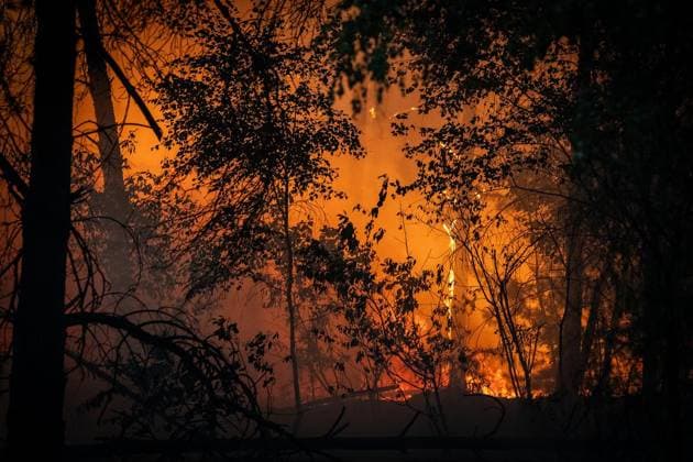 Waldbrand im Naturschutzgebiet Bos bei Venlo ** NUR FÜR REDAKTIONELLE ZWECKE ** EDITORIAL USE ONLY **<p>Niederländische Feuerwehren bekämpfen am Montag,03.August.2026, einen Waldbrand im Naturschutzgebiet Bos bei Venlo. Deutschland NRW Venlo Copyright: KaixKitschenberg *** Forest Fire in the Bos Nature Reserve near Venlo ** FOR EDITORIAL USE ONLY ** EDITORIAL USE ONLY ** p Dutch fire departments are fighting a forest fire on Monday, August 3, 2026, in the Bos Nature Reserve near Venlo, Germany, North Rhine-Westphalia, Venlo. Copyright KaixKitschenberg Copyright: KaixKitschenberg doc8704wmbu7tj1kf7mmlzn ,EDITORIAL USE ONLY