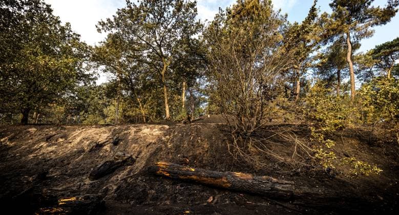OOSTRUM - Damage to nature reserve De Rosmolen near Oostrum due to a very large forest fire. More than 100 hectares of nature have already been lost in the fire, and the fire department has not yet brought the fire under control. ROB ENGELAAR ANP netherlands out - belgium out  Copyright: xx x564854771x originalFilename: 564854771.jpg