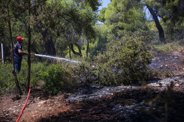 Wildfire continues for fourth day in Psatha, Greece PSATHA, GREECE - AUGUST 04: Firefighters continue firefighting operations as a wildfire burns for the fourth consecutive day in Psatha, Greece, on August 04, 2026. Thousands of square meters of forest, along with several houses, have been destroyed. Although the fire fronts have calmed after four days of intense burning, authorities remain on alert. Aris Oikonomou Anadolu Psatha Greece. Editorial use only. Please get in touch for any other usage.  Copyright: x2026xAnadoluxArisxOikonomoux