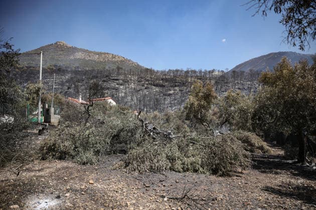 Wildfire continues for fourth day in Psatha, Greece PSATHA, GREECE - AUGUST 04: Burned houses and olive trees are seen in the aftermath of a wildfire in Psatha, Greece, on August 04, 2026. Thousands of square meters of forest, along with several houses, have been destroyed. Although the fire fronts have calmed after four days of intense burning, authorities remain on alert. Aris Oikonomou Anadolu Psatha Greece. Editorial use only. Please get in touch for any other usage.  Copyright: x2026xAnadoluxArisxOikonomoux