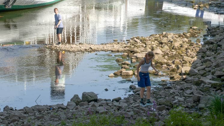 Die Pegel sinken weiter. Anhaltende Trockenheit verschärft das Niedrigwasser an den deutschen Flüssen weiter. Betroffen ist auch die Elbe bei Dresden. In Dresden zeigte die Pegelanzeige am Dienstagnachmittag nur noch 40 cm an. Die Dampfschifffahrt steht fast komplett still und sitzt auf dem Trockenen. Einheimische gehen mitten in der Elbe, auf kleinen Inseln, baden. Dort, wo eigentlich die Elbe entlang fließt, ist mittlerweile viel Wildwuchs entstanden. Und auch aus Tschechien kommt kaum Wasser nach. Die Situation wird mit Tag zu Tag immer dramatischer. Dresden Sachsen Deutschland *** Water levels continue to drop. Persistent drought is further exacerbating low water levels in German rivers. The Elbe near Dresden is also affected. In Dr