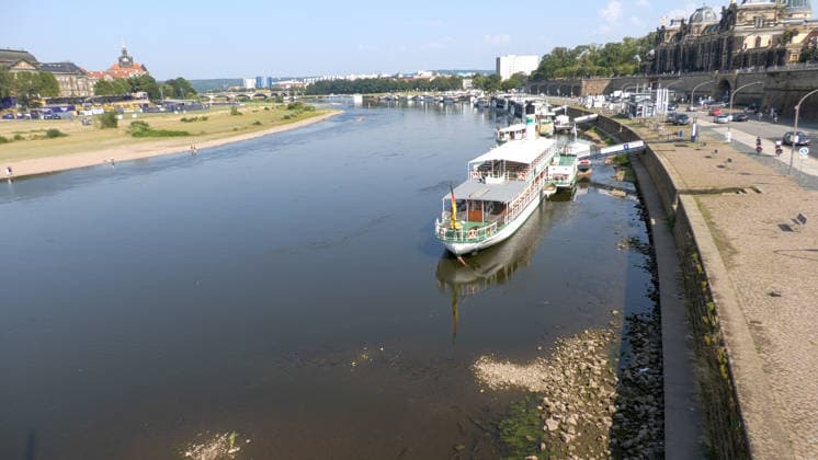 Die Pegel sinken weiter. Anhaltende Trockenheit verschärft das Niedrigwasser an den deutschen Flüssen weiter. Betroffen ist auch die Elbe bei Dresden. In Dresden zeigte die Pegelanzeige am Dienstagnachmittag nur noch 40 cm an. Die Dampfschifffahrt steht fast komplett still und sitzt auf dem Trockenen. Einheimische gehen mitten in der Elbe, auf kleinen Inseln, baden. Dort, wo eigentlich die Elbe entlang fließt, ist mittlerweile viel Wildwuchs entstanden. Und auch aus Tschechien kommt kaum Wasser nach. Die Situation wird mit Tag zu Tag immer dramatischer. Dresden Sachsen Deutschland *** Water levels continue to drop. Persistent drought is further exacerbating low water levels in German rivers. The Elbe near Dresden is also affected. In Dr