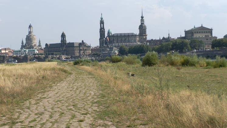 Die Pegel sinken weiter. Anhaltende Trockenheit verschärft das Niedrigwasser an den deutschen Flüssen weiter. Betroffen ist auch die Elbe bei Dresden. In Dresden zeigte die Pegelanzeige am Dienstagnachmittag nur noch 40 cm an. Die Dampfschifffahrt steht fast komplett still und sitzt auf dem Trockenen. Einheimische gehen mitten in der Elbe, auf kleinen Inseln, baden. Dort, wo eigentlich die Elbe entlang fließt, ist mittlerweile viel Wildwuchs entstanden. Und auch aus Tschechien kommt kaum Wasser nach. Die Situation wird mit Tag zu Tag immer dramatischer. Dresden Sachsen Deutschland *** Water levels continue to drop. Persistent drought is further exacerbating low water levels in German rivers. The Elbe near Dresden is also affected. In Dr