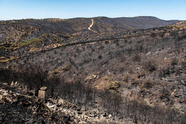 Leo Messi Donates 80,000 Euros for the Reconstruction of Madrid’s Sierra Oeste After the Wildfire View after the wildfire, on August 4, 2026, in Navas del Rey, Madrid, Spain The president of the Community of Madrid, Isabel Díaz Ayuso, announced on Tuesday that soccer player Leo Messi has donated 80,000 euros for the reconstruction of the region’s Sierra Oeste following the wildfire that has scorched nearly 30,000 hectares. The Community of Madrid has launched a website to channel donations from citizens and companies to support those affected by the fires that impacted 17 municipalities in the Sierra Oeste August 4, 2026 FIRE SCORCHED LAND DONATION MESSI NATURE LANDSCAPE SIERRA OESTE MADRID FIRE MADRID HECTAREBURNT TREES BURNT LAND Navas d  Copyright: xGabrixSolerax 7701734