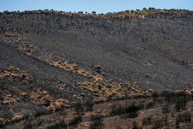 Leo Messi Donates 80,000 Euros for the Reconstruction of Madrid’s Sierra Oeste After the Wildfire View after the wildfire, on August 4, 2026, in Navas del Rey, Madrid, Spain The president of the Community of Madrid, Isabel Díaz Ayuso, announced on Tuesday that soccer player Leo Messi has donated 80,000 euros for the reconstruction of the region’s Sierra Oeste following the wildfire that has scorched nearly 30,000 hectares. The Community of Madrid has launched a website to channel donations from citizens and companies to support those affected by the fires that impacted 17 municipalities in the Sierra Oeste August 4, 2026 FIRE SCORCHED LAND DONATION MESSI NATURE LANDSCAPE SIERRA OESTE MADRID FIRE MADRID HECTAREBURNT TREES BURNT LAND Navas d  Copyright: xGabrixSolerax 7701735