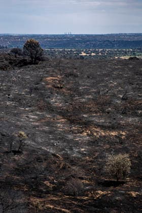 Leo Messi Donates 80,000 Euros for the Reconstruction of Madrid’s Sierra Oeste After the Wildfire View after the wildfire, on August 4, 2026, in Villa del Prado, Madrid, Spain. The president of the Community of Madrid, Isabel Díaz Ayuso, announced on Tuesday that soccer player Leo Messi has donated 80,000 euros for the reconstruction of the region’s Sierra Oeste following the wildfire that has scorched nearly 30,000 hectares. The Community of Madrid has launched a website to channel donations from citizens and companies to support those affected by the fires that impacted 17 municipalities in the Sierra Oeste August 4, 2026 FIRE SCORCHED LAND DONATION MESSI NATURE LANDSCAPE SIERRA OESTE MADRID FIRE MADRID HECTAREBURNT TREES BURNT LAND VILL  Copyright: xGabrixSolerax 7701747