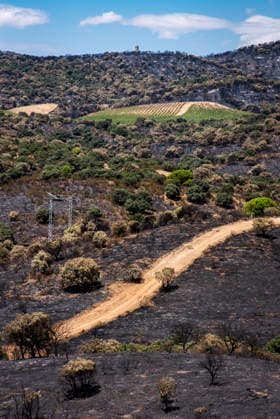 Leo Messi Donates 80,000 Euros for the Reconstruction of Madrid’s Sierra Oeste After the Wildfire View after the wildfire, on August 4, 2026, in Villa del Prado, Madrid, Spain. The president of the Community of Madrid, Isabel Díaz Ayuso, announced on Tuesday that soccer player Leo Messi has donated 80,000 euros for the reconstruction of the region’s Sierra Oeste following the wildfire that has scorched nearly 30,000 hectares. The Community of Madrid has launched a website to channel donations from citizens and companies to support those affected by the fires that impacted 17 municipalities in the Sierra Oeste August 4, 2026 FIRE SCORCHED LAND DONATION MESSI NATURE LANDSCAPE SIERRA OESTE MADRID FIRE MADRID HECTAREBURNT TREES BURNT LAND VILL  Copyright: xGabrixSolerax 7701751