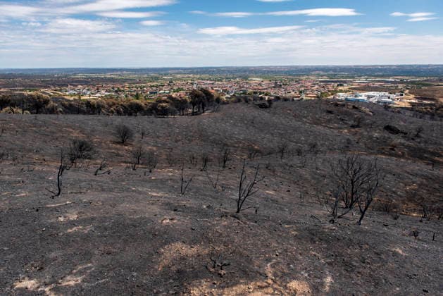 Leo Messi Donates 80,000 Euros for the Reconstruction of Madrid’s Sierra Oeste After the Wildfire View after the wildfire, on August 4, 2026, in Villa del Prado, Madrid, Spain. The president of the Community of Madrid, Isabel Díaz Ayuso, announced on Tuesday that soccer player Leo Messi has donated 80,000 euros for the reconstruction of the region’s Sierra Oeste following the wildfire that has scorched nearly 30,000 hectares. The Community of Madrid has launched a website to channel donations from citizens and companies to support those affected by the fires that impacted 17 municipalities in the Sierra Oeste August 4, 2026 FIRE SCORCHED LAND DONATION MESSI NATURE LANDSCAPE SIERRA OESTE MADRID FIRE MADRID HECTAREBURNT TREES BURNT LAND VILL  Copyright: xGabrixSolerax 7701741