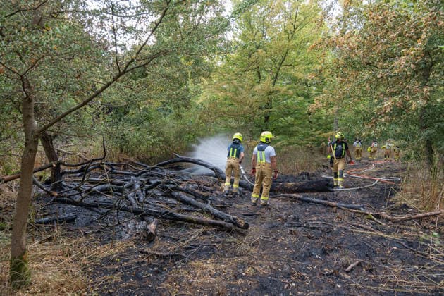 Waldbrand durch Flugzeug gemeldet 200 Quadratmeter Wald brennen bei Gernsheim Am 04.08.2026 brannte am Dienstagnachmittag ein rund 200 Quadratmeter großes Waldstück in Gernsheim-Allmendfeld. Gemeldet wurde das Feuer über die Deutsche Flugsicherung, nachdem ein Luftfahrzeug die Flammen entdeckt hatte. Eine gut sichtbare Rauchsäule machte den Brand bereits auf der Anfahrt der Einsatzkräfte schnell auffindbar. Sofort eingeleitete Löschmaßnahmen verhinderten eine weitere Ausbreitung des Feuers. Ein Polizeihubschrauber unterstützte die Einsatzkräfte mit einer Wärmebildkamera aus der Luft, die Brandursache war zunächst unklar. Gernsheim Allmendfeld Hessen Deutschland *** Forest Fire Reported by Aircraft: 200 Square Meters of Forest