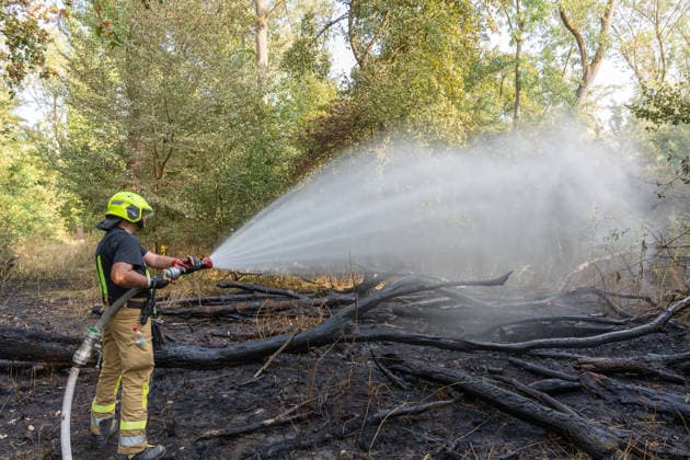 Waldbrand durch Flugzeug gemeldet 200 Quadratmeter Wald brennen bei Gernsheim Am 04.08.2026 brannte am Dienstagnachmittag ein rund 200 Quadratmeter großes Waldstück in Gernsheim-Allmendfeld. Gemeldet wurde das Feuer über die Deutsche Flugsicherung, nachdem ein Luftfahrzeug die Flammen entdeckt hatte. Eine gut sichtbare Rauchsäule machte den Brand bereits auf der Anfahrt der Einsatzkräfte schnell auffindbar. Sofort eingeleitete Löschmaßnahmen verhinderten eine weitere Ausbreitung des Feuers. Ein Polizeihubschrauber unterstützte die Einsatzkräfte mit einer Wärmebildkamera aus der Luft, die Brandursache war zunächst unklar. Gernsheim Allmendfeld Hessen Deutschland *** Forest Fire Reported by Aircraft: 200 Square Meters of Forest