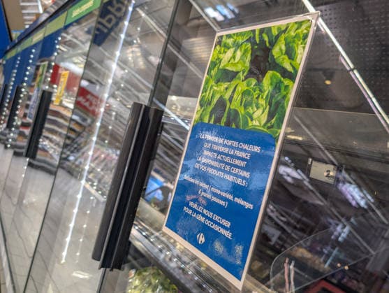 Illustration - Salad Shortage in Supermarkets - France The bagged salad aisle is nearly empty due to a nationwide shortage at the Carrefour supermarket in Rambouillet. Successive heat waves and drought are hitting vegetable farmers hard, leading to a sharp drop in harvests and shortages at supermarkets. In the Île-de-France region, the drought and high temperatures have caused losses of up to 50% for some producers. Due to the extreme heat, the plants are bolting rapidly, making the lettuce tougher, more bitter, and unfit for sale according to supermarket standards. Rambouillet, France, August 4, 2026. Photo by Christopher Charpaud ABACAPRESS.COM Rambouillet Ile-de-France France  Copyright: xCharpaudxChristopher ABACAx