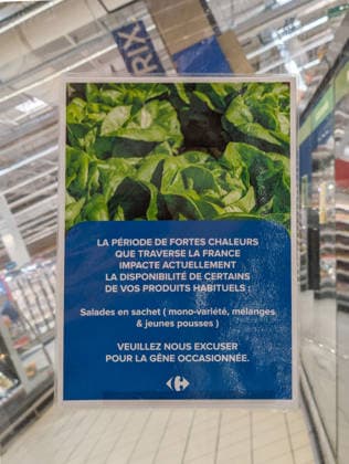 Illustration - Salad Shortage in Supermarkets - France The bagged salad aisle is nearly empty due to a nationwide shortage at the Carrefour supermarket in Rambouillet. Successive heat waves and drought are hitting vegetable farmers hard, leading to a sharp drop in harvests and shortages at supermarkets. In the Île-de-France region, the drought and high temperatures have caused losses of up to 50% for some producers. Due to the extreme heat, the plants are bolting rapidly, making the lettuce tougher, more bitter, and unfit for sale according to supermarket standards. Rambouillet, France, August 4, 2026. Photo by Christopher Charpaud ABACAPRESS.COM Rambouillet Ile-de-France France  Copyright: xCharpaudxChristopher ABACAx