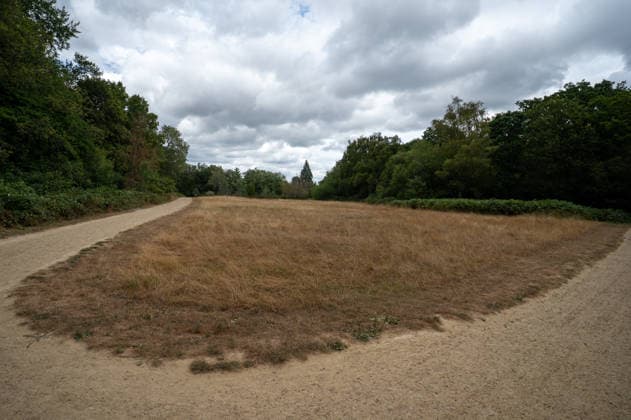 August 4, 2026, Epsom, Surrey, United Kingdom: A dry, parched field on Epsom Common reflects the impact of weeks without significant rainfall, in Surrey and the Southeast. As temperatures begin to ease, signaling the end of the UK s fourth heat wave of the summer, the impact of weeks of exceptional heat remains visible across Surrey. The South East is still on the brink of drought, with parched fields, scorched grassland and dried landscapes reflecting one of the driest summers in recent years. The prolonged lack of rainfall continues to affect the countryside, wildlife and local water resources. Epsom United Kingdom  - ZUMAs197 20260804_aaa_s197_083 Copyright: xJamesxWilloughbyx