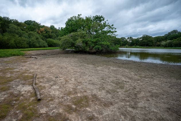 August 4, 2026, Epsom, Surrey, United Kingdom: The Stew Pond on Epsom Common has partly dried up after weeks of exceptionally dry weather during the UK s fourth heatwave of the summer. As temperatures begin to ease, signaling the end of the UK s fourth heat wave of the summer, the impact of weeks of exceptional heat remains visible across Surrey. The South East is still on the brink of drought, with parched fields, scorched grassland and dried landscapes reflecting one of the driest summers in recent years. The prolonged lack of rainfall continues to affect the countryside, wildlife and local water resources. Epsom United Kingdom - ZUMAs197 20260804_aaa_s197_085 Copyright: xJamesxWilloughbyx